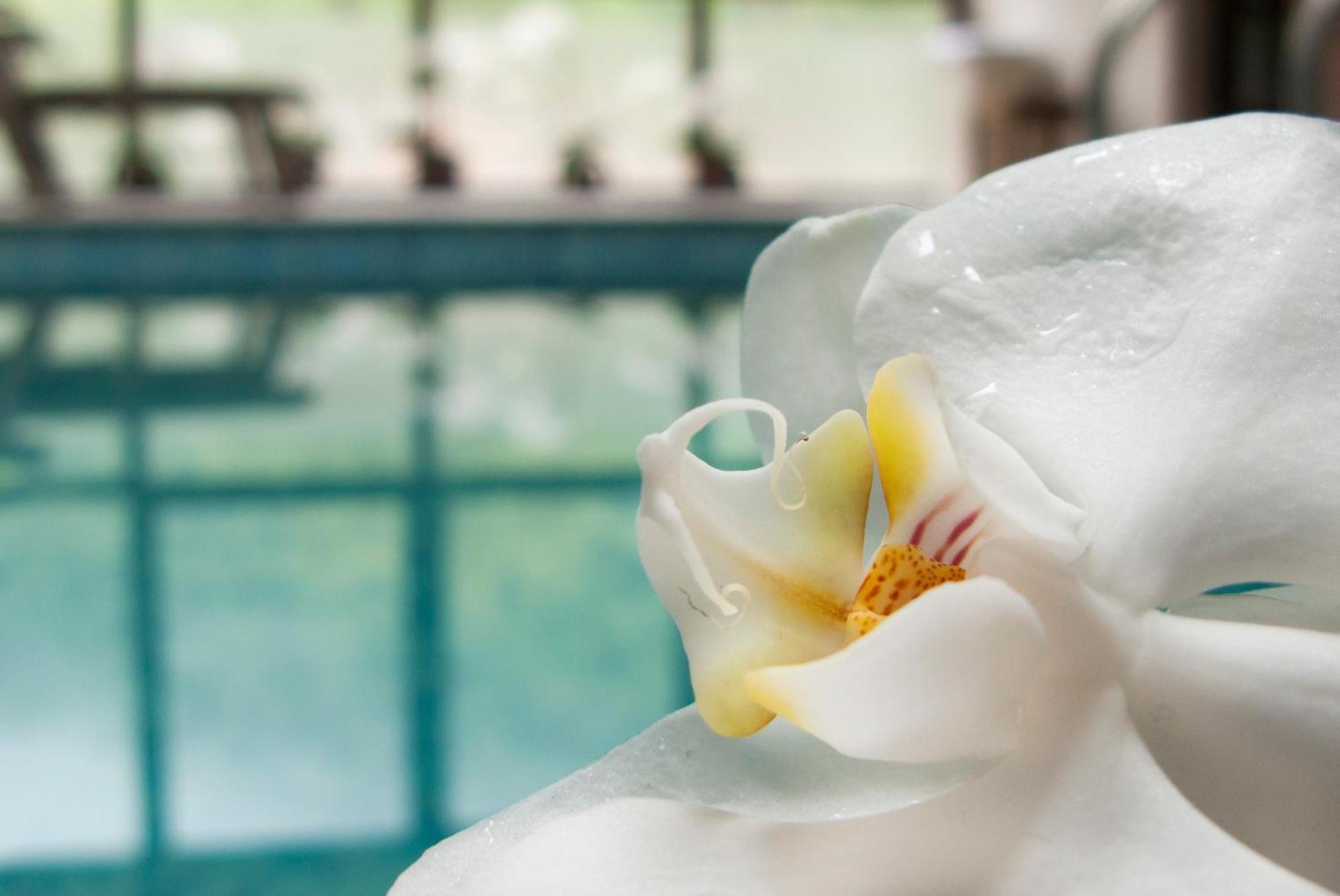 Aqua Varvara Hotel Vetren Dol Eksteriør bilde